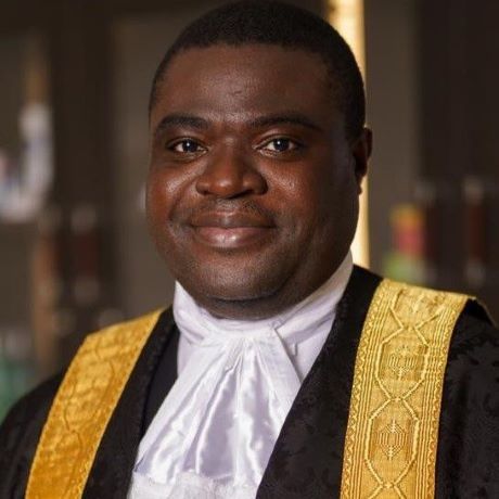 Prof Damilola Olawuyi SAN, FCIArb,